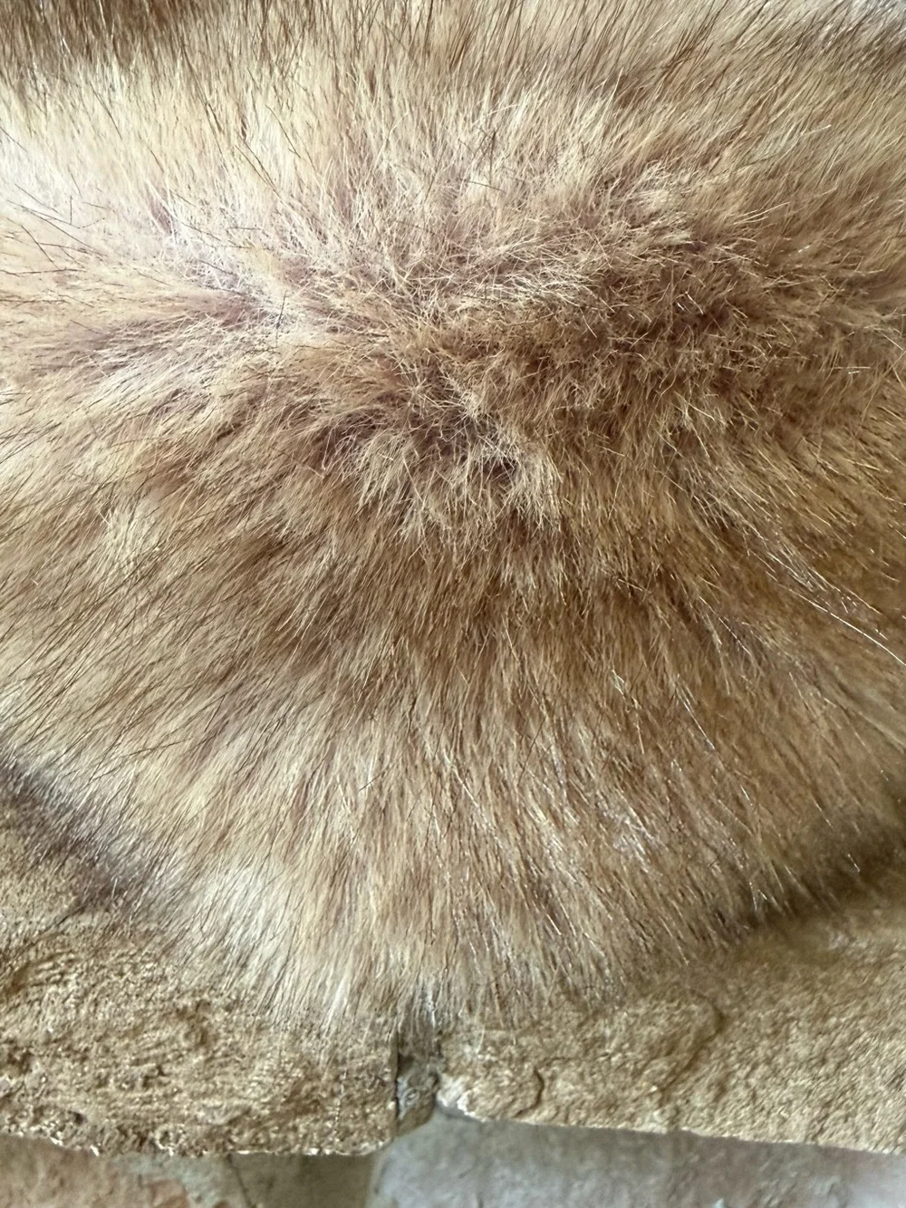 Faux Fur Trooper Hat - Rustic Brown